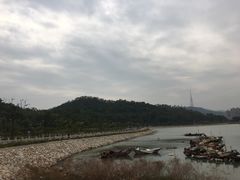 -野狸岛