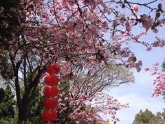 门面-圆通禅寺