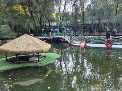 -大鹅岛绿色生态美食园