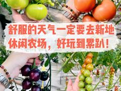 -新地休闲农场