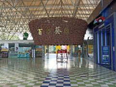 -百万葵园