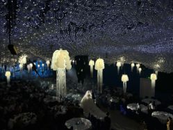 -MuseMarry婚纱(前海嘉里中心店)