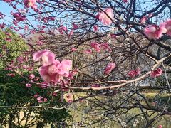 -杭州植物园
