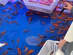 -7分甜(钟楼龙湖店)
