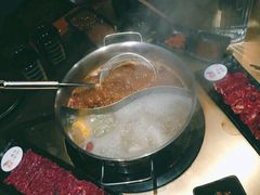 -手选潮汕鲜活牛肉火锅(二七广场店)