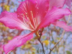 -广东花都湖国家湿地公园