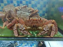 -蔚海之都·象山蒸汽海鲜(仙霞路店)