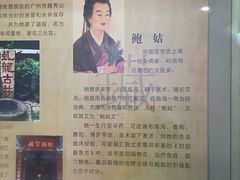 -广东中医药博物馆