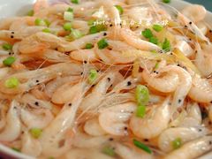 002_副本-三山岛