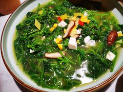 上汤桑叶苗-大榕树下顺德菜(融创茂店)