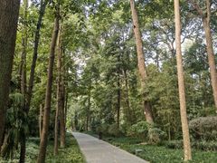 -成都杜甫草堂博物馆