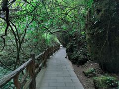 -马岭河峡谷风景区