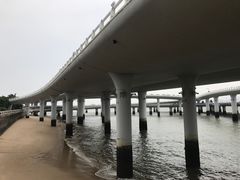 -演武大桥观景平台