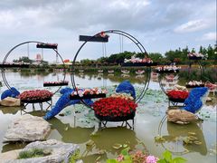 -荷兰花海