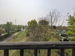 -菊园百果园