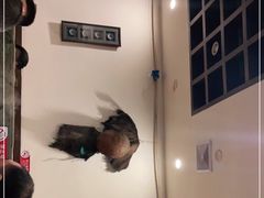 -湘肠香火锅店(团结湖店)