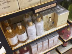 -西沃古尔·拉姆古兰爵士国际机场