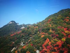 -少华山国家森林公园