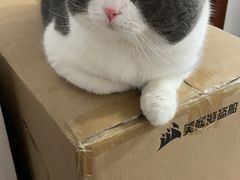 -申普宠物医院·心脏介入·心血管微创(总院)