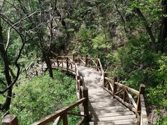 -大岭沟猕猴桃谷风景区