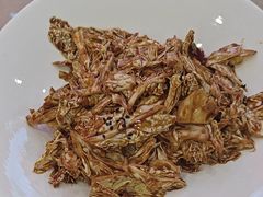 -普天和酒楼·新津菜·烤鸭(天津之眼店)
