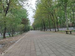 -老君堂公园