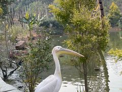 -黄龙溪欢乐田园