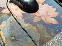 -楚鱼王·河鲜·湖北菜(华农店)