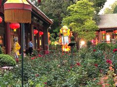 -白家大院·王府宫廷菜(苏州街店)