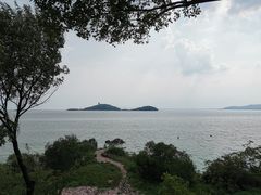 -上海市保健医疗中心