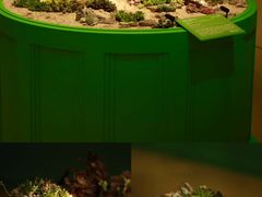 -德基艺术博物馆