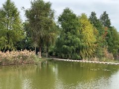 -厦门国家会计学院