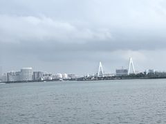 -万绿园