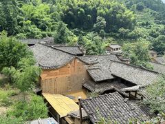 -杨家堂村