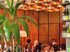 -the rug 飞毯 (朝阳公园店)