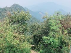 -山沟沟景区