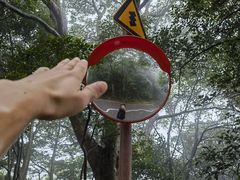 -梧桐山风景名胜区