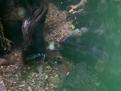 -海合安成都极地海洋公园