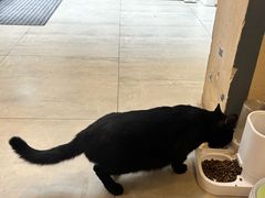 -石舍洒秀咖啡馆