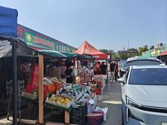 -大连果菜批发市场