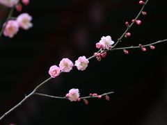 -颐和园