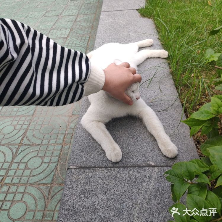 你见过彩虹宿舍楼吗??