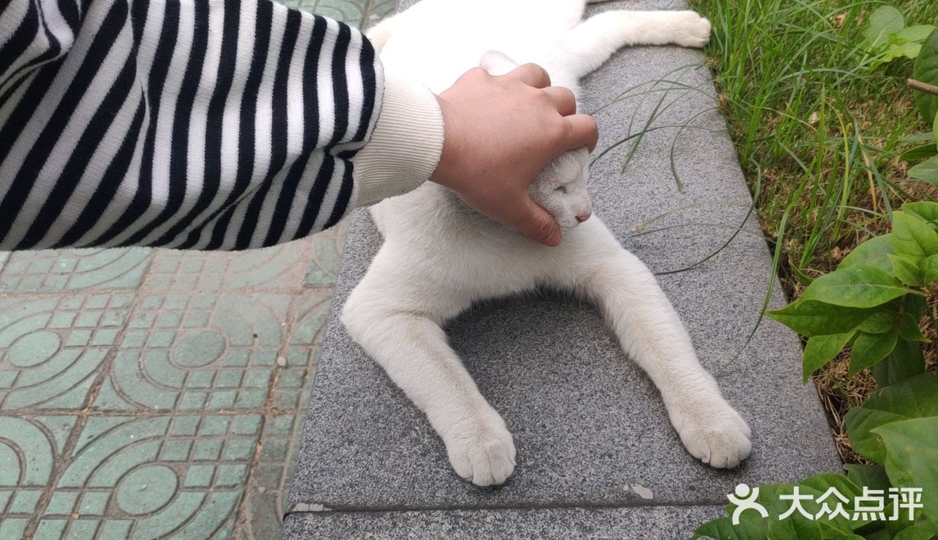 你见过彩虹宿舍楼吗？？