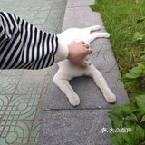 你见过彩虹宿舍楼吗？？