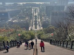 -老字号怡玺·藿香雅鱼(20年雅安店)