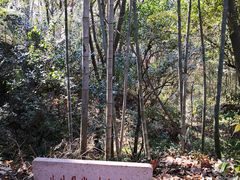 -上海佘山国家森林公园天马山园