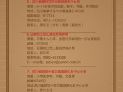 -北京石景山游乐园