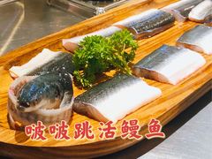 -本炙炭烤·蒲烧活鳗料理店(金沙洲店)