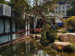 -湘力力小院·鱼汤泡饭(枫林路店)