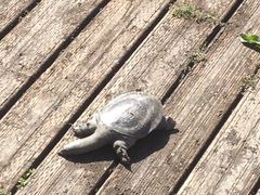 -苏州河梦清园环保主题公园